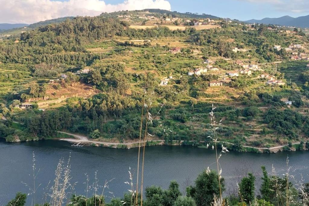 Quinta Dos Castros Douro Villa ไบเยา ภายนอก รูปภาพ