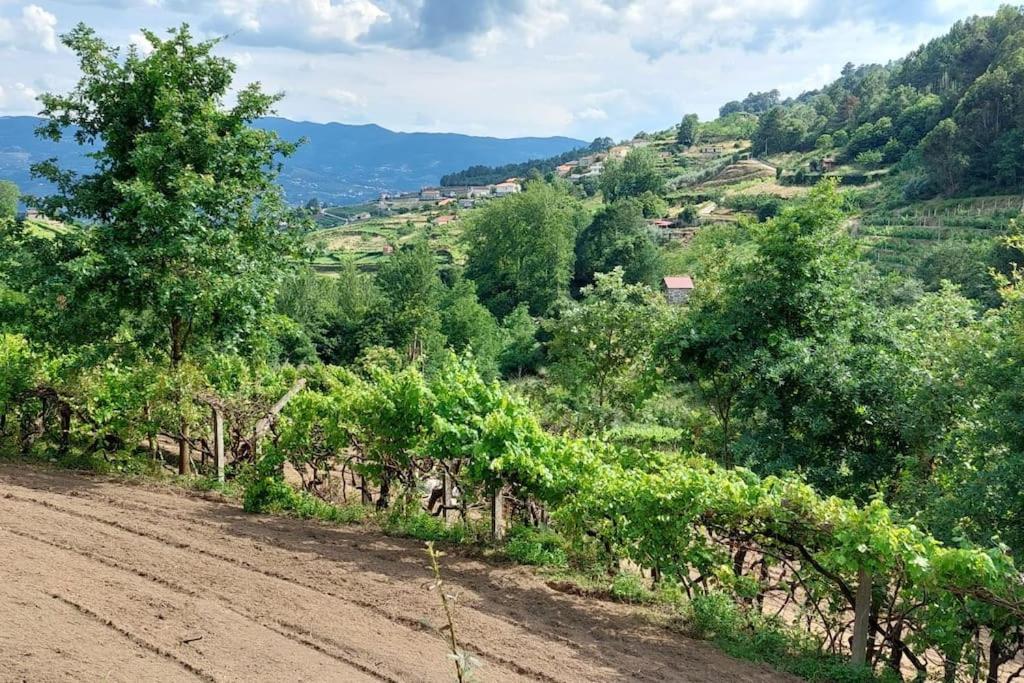 Quinta Dos Castros Douro Villa ไบเยา ภายนอก รูปภาพ