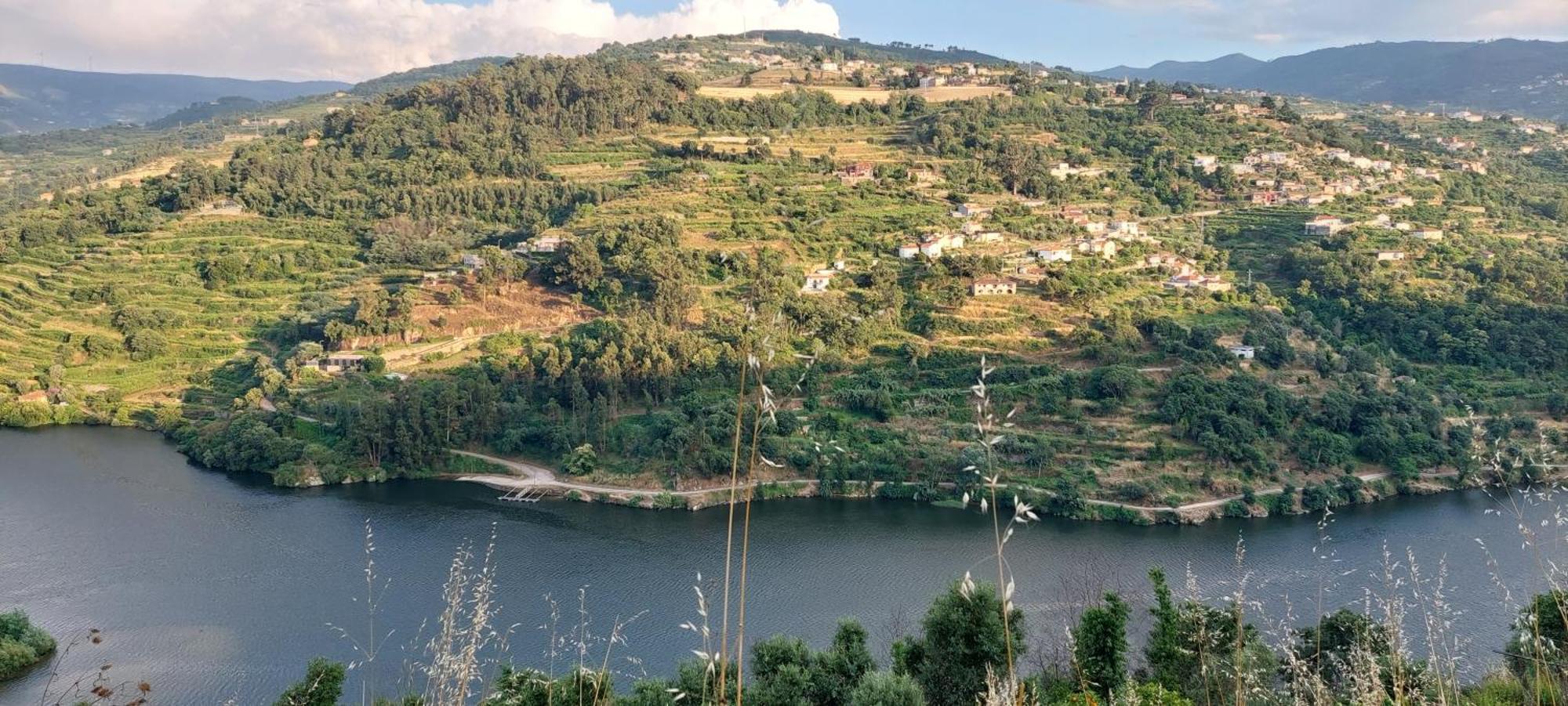 Quinta Dos Castros Douro Villa ไบเยา ภายนอก รูปภาพ