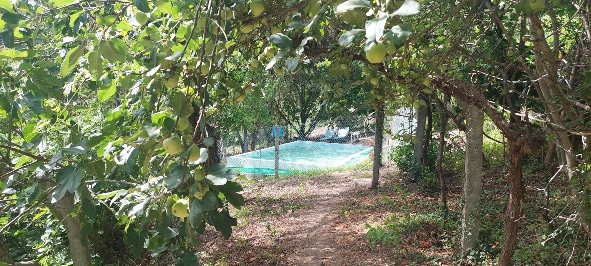 Quinta Dos Castros Douro Villa ไบเยา ภายนอก รูปภาพ