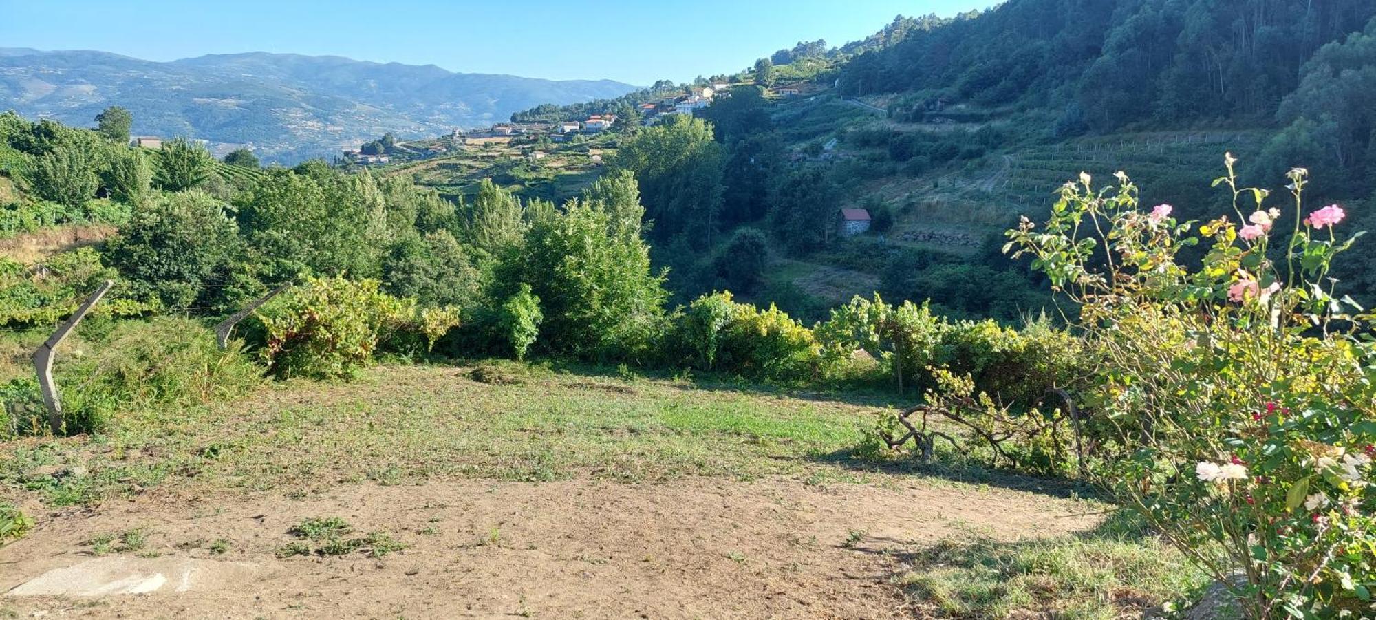 Quinta Dos Castros Douro Villa ไบเยา ภายนอก รูปภาพ