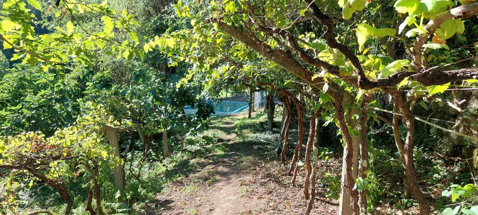 Quinta Dos Castros Douro Villa ไบเยา ภายนอก รูปภาพ