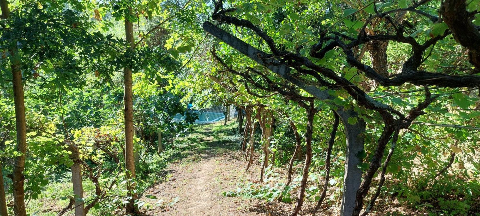 Quinta Dos Castros Douro Villa ไบเยา ภายนอก รูปภาพ