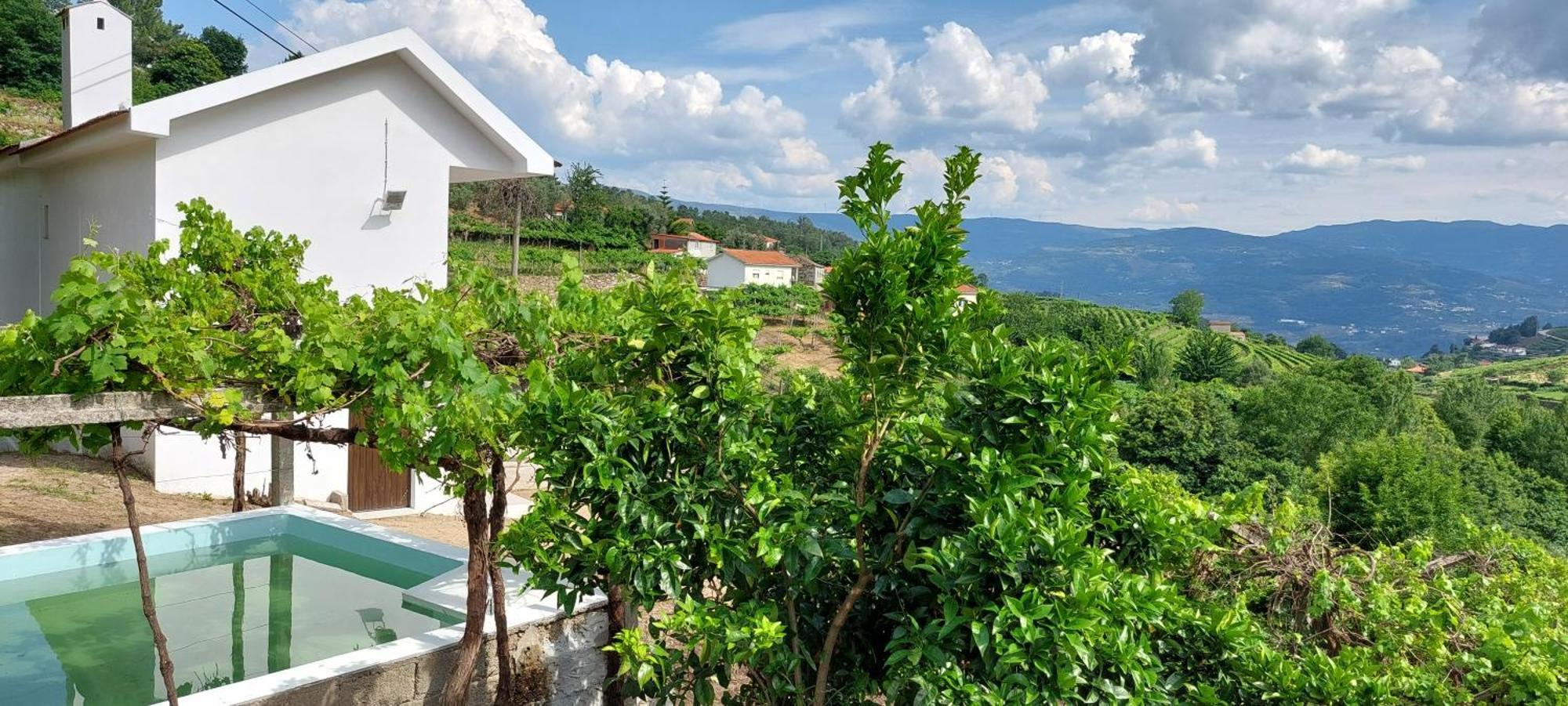 Quinta Dos Castros Douro Villa ไบเยา ภายนอก รูปภาพ