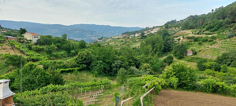 Quinta Dos Castros Douro Villa ไบเยา ภายนอก รูปภาพ