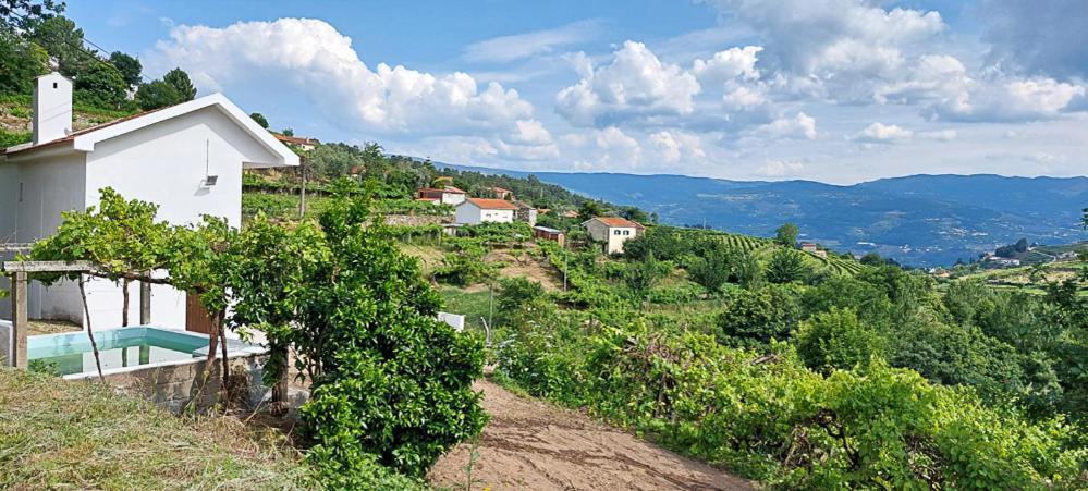 Quinta Dos Castros Douro Villa ไบเยา ภายนอก รูปภาพ
