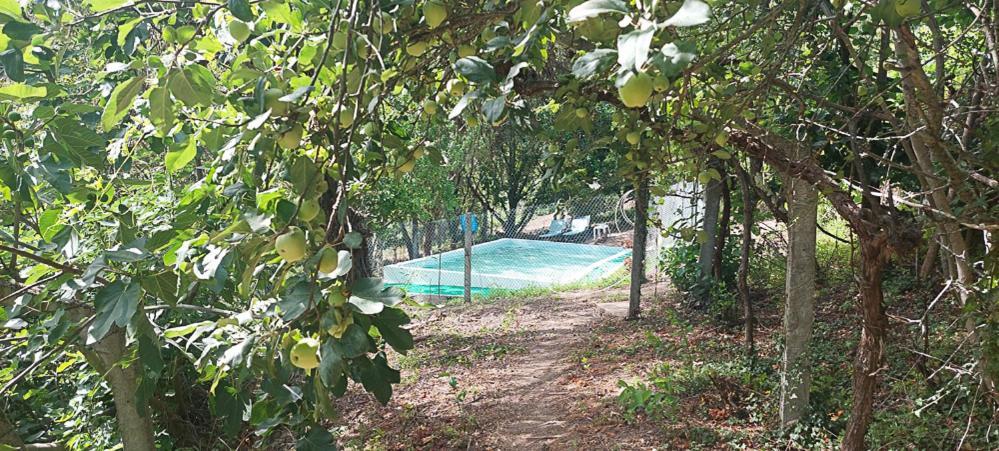Quinta Dos Castros Douro Villa ไบเยา ภายนอก รูปภาพ
