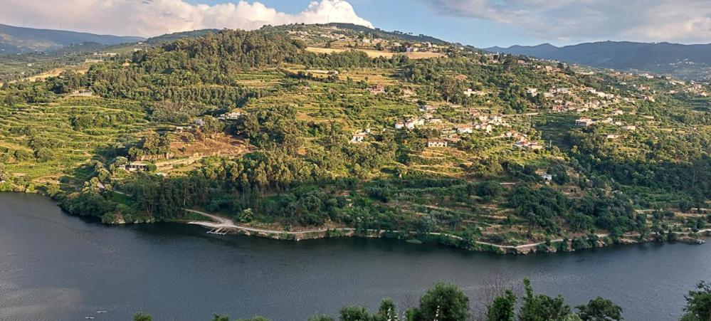 Quinta Dos Castros Douro Villa ไบเยา ภายนอก รูปภาพ