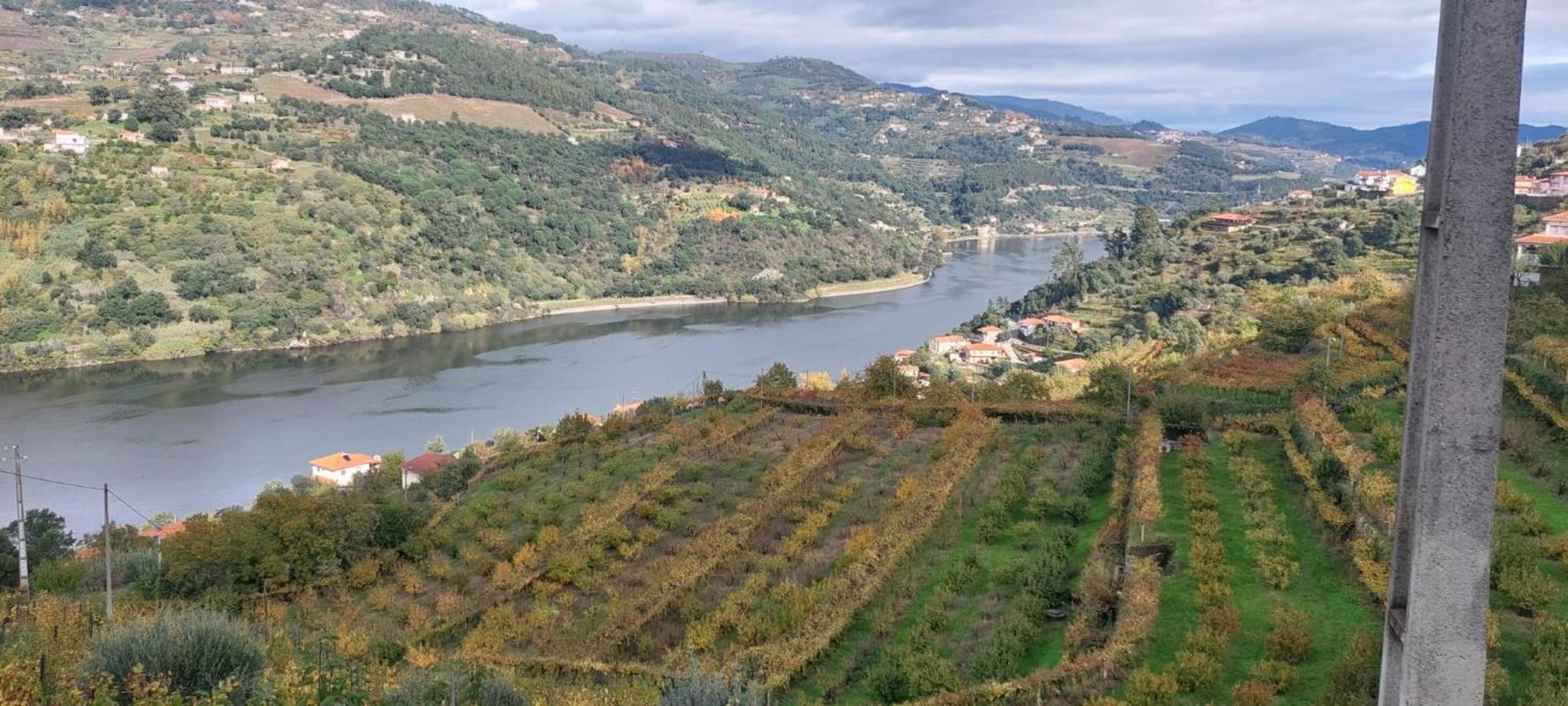 Quinta Dos Castros Douro Villa ไบเยา ภายนอก รูปภาพ