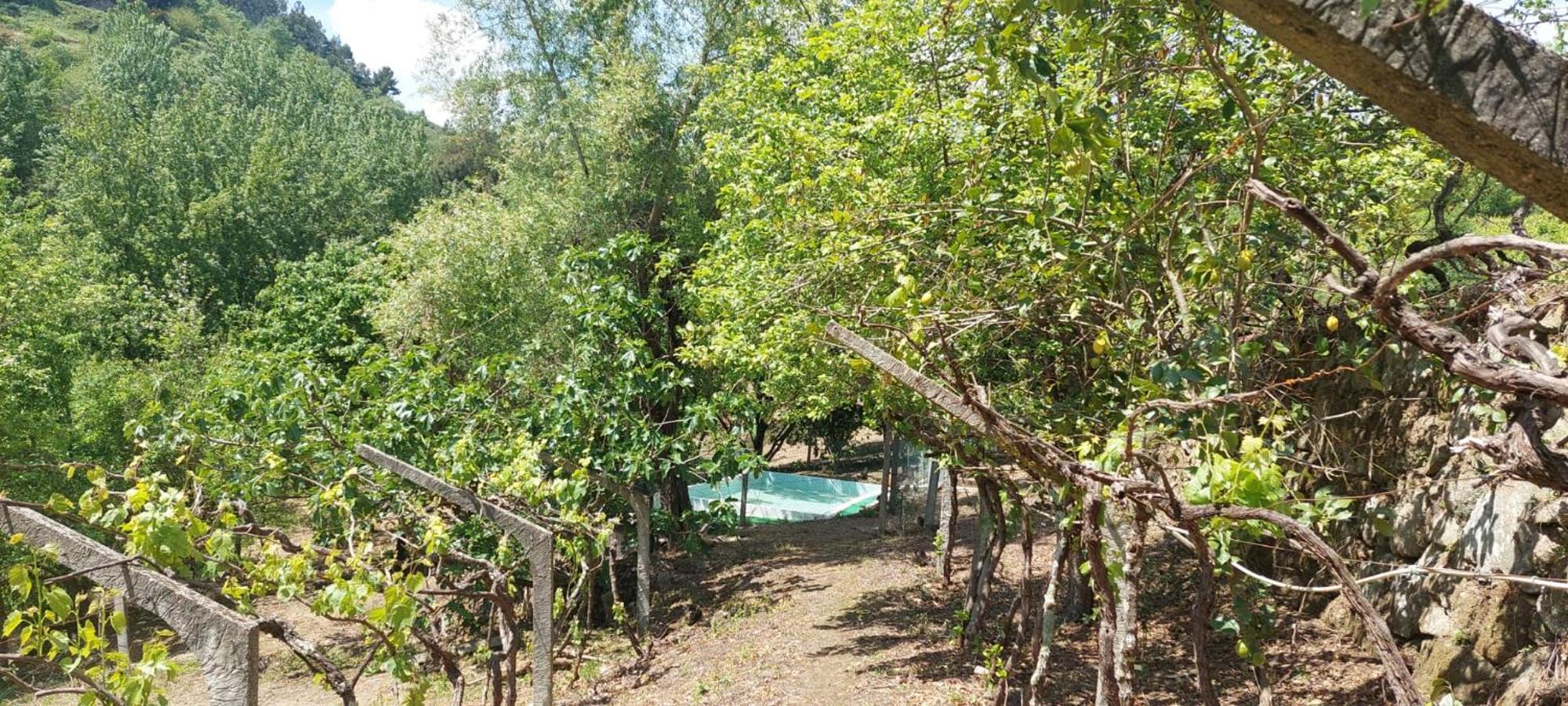 Quinta Dos Castros Douro Villa ไบเยา ภายนอก รูปภาพ
